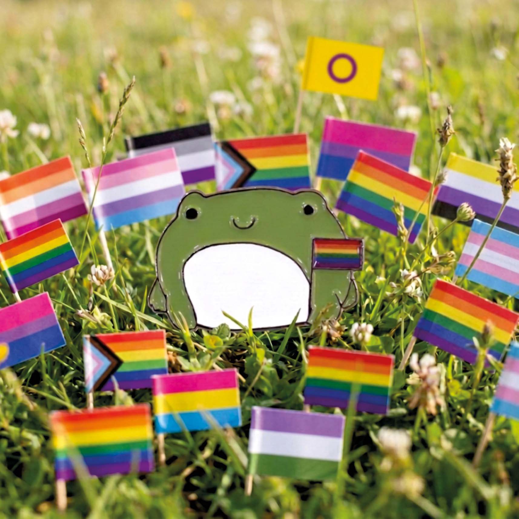 Pride-Pin mit Frosch und bunten Pride-Flaggen als Zeichen für Vielfalt
